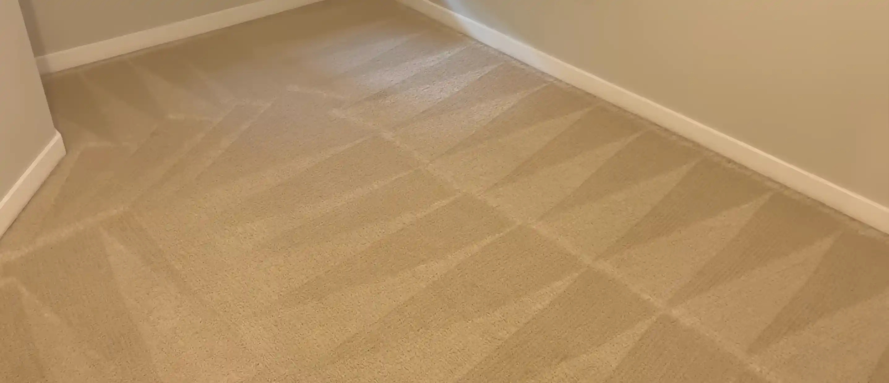 After carpet cleaning: the same Medford carpet cleaned to an even beige with fresh vacuum lines