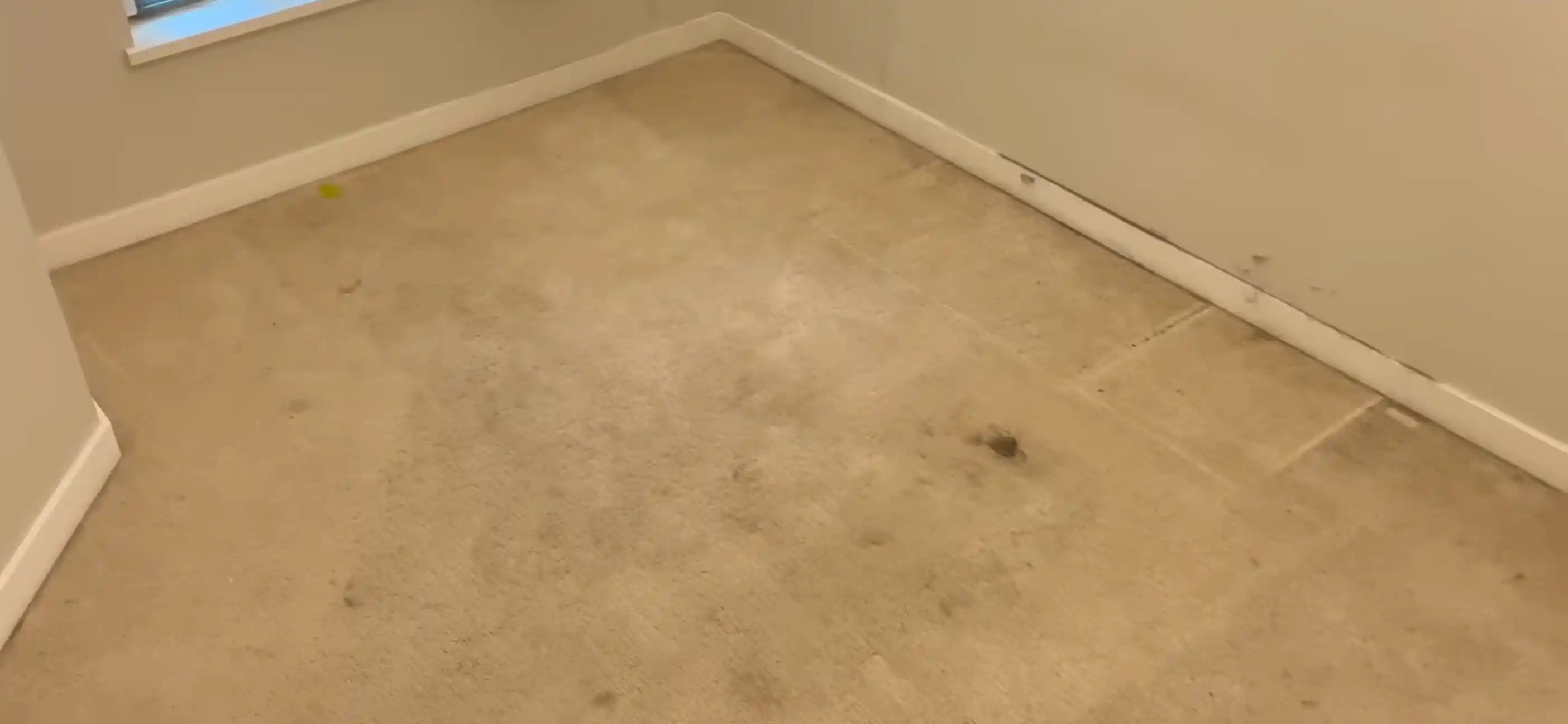 Before carpet cleaning: a beige bedroom carpet in a Medford home with heavy soiling and dark traffic-lane stains