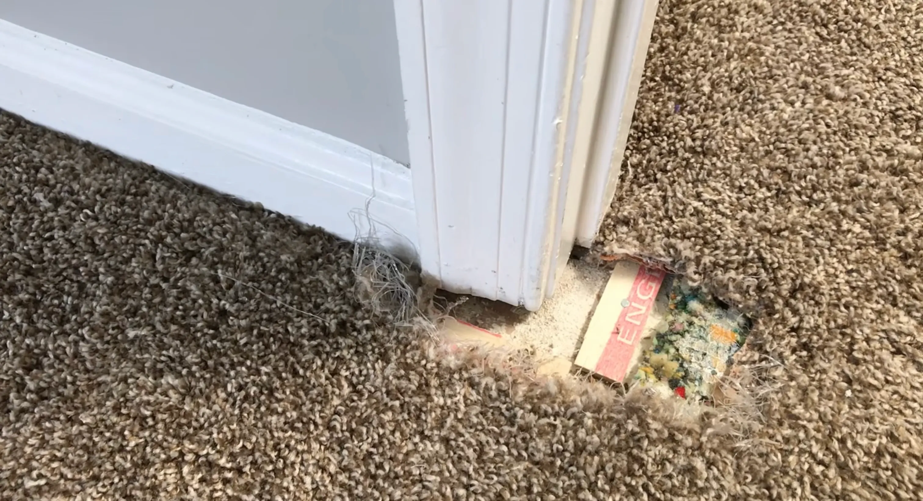 Carpet worn and frayed through to the backing at a doorway in a Medford home, damage that cleaning cannot repair